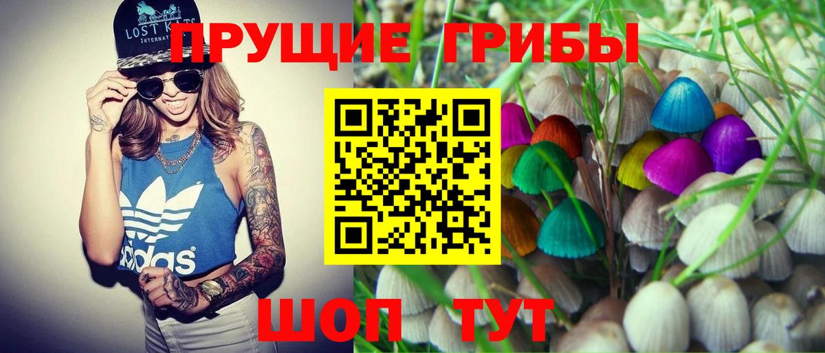Галлюциногенные грибы мицелий  Вход с VPN  Галлюциногенные грибы Cubensis  Людиново 
